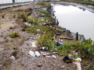 Debris along Colma Creek prior to clean up Photo: Tom Carney 