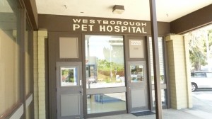 Dr. Grewal and staff hope to keep Westborough Pet Hospital local