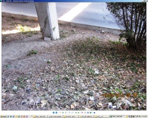 Homeless camp area after the cleanup