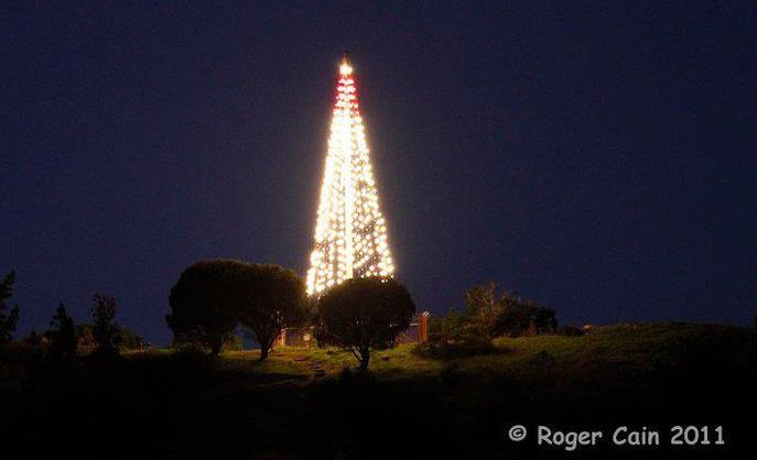 Lighted Christmas tree, 2011