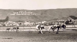 The Baden Kennel Club opened in 1933 and closed in 1937. 