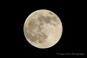 The Full Moon tonight caught the attention of many neighbors and captured by South City Photographer ROGER CAIN