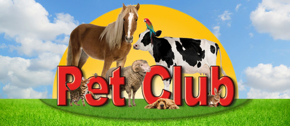 Pet Club reopens at the new Chestnut location - Everything ...