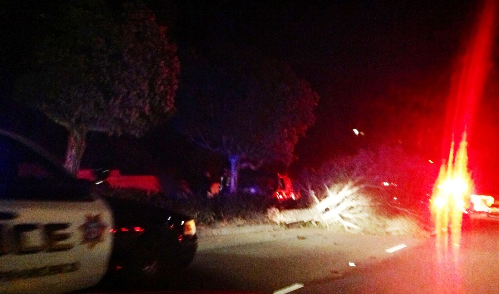 SSFPD 12.21.2013 Collision with tree Hillside Blvd