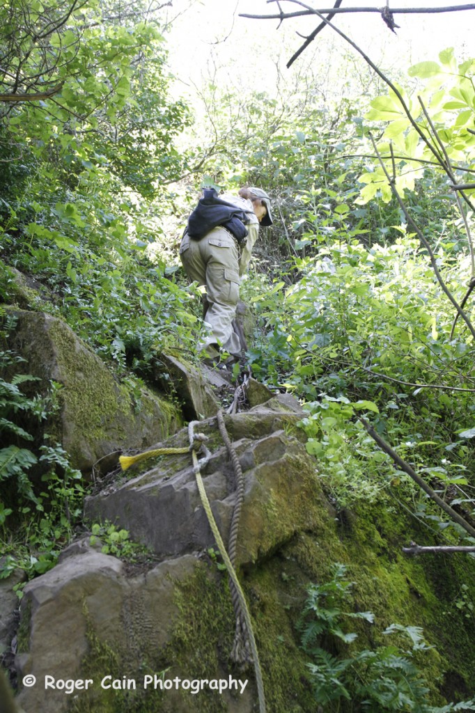 Making their way by rope Photo: ROGER CAIN