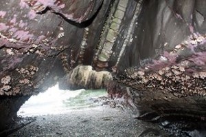 Hidden local treasures found: Shelter Cove at Pt Pedro in Pacifica