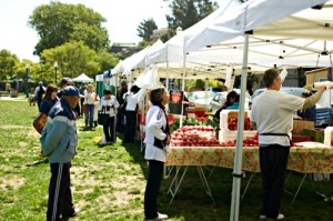 The Brisbane Farmers Market