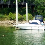 Seals & other wildlife can be seen while cruising on the Horn Blower Photo ESC 