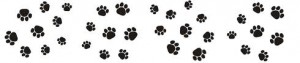 paw prints