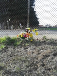 Flowers left in honor of Oliver 'Oli' Oliveros  Photo: Brandi Nunziati 