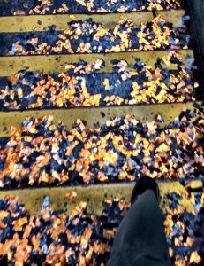 SF Giants Parade Confetti on Embarcadero BART Stairs Photo: Moira Wilmes