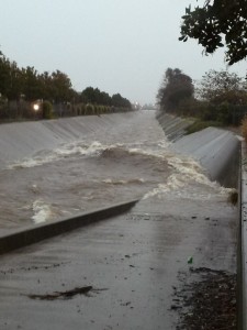 Colma Creek by Orange Photo Angela Rudoni