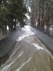 Colma Creek by Orange Photo Angela Rudoni