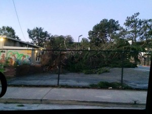 Kayla Gallagher shares this photo of a downed tree on Paradise Valley Rec Ctr Basketball courts