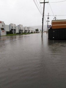 So Linden Closed Photo:Lenchisimo Ta Ordaz 