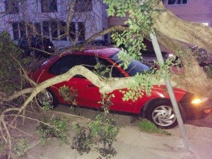 High winds caused this tree to fall on top of a car between Magnolia and Four Lane in SSF Photo: Olga Ortega 