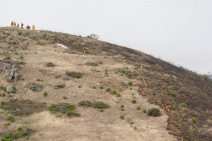 CalFire laying hose as they did during the training exercise the day before Photo: Pete Geniella