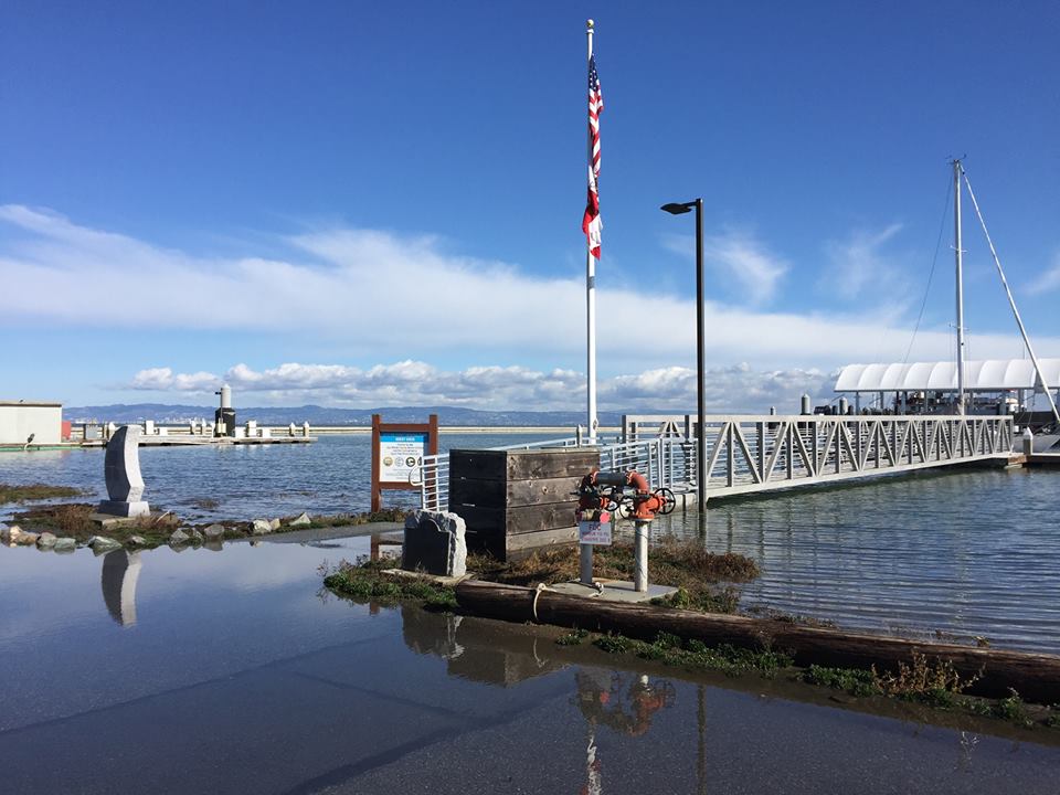 Bay Trail King Tide flooding at Oyster Point Marina—Wed., Nov. 25, 2015 Photo: S Brennan