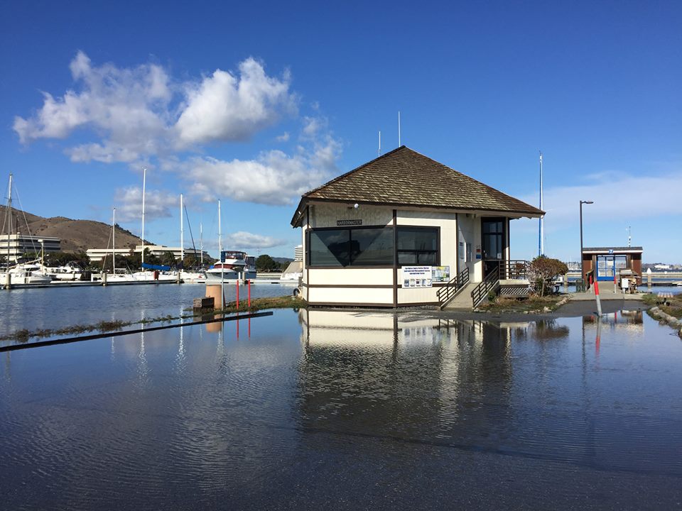 Flooding at Oyster Point Marina during a king tide event on Nov. 25. Photo: S Brennan