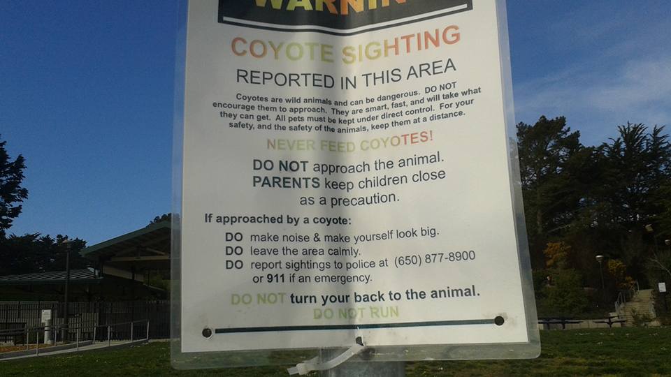 SSF Parks & Rec have put warning signs out at various parks as can be seen by the photo sent to us by Chris Willis