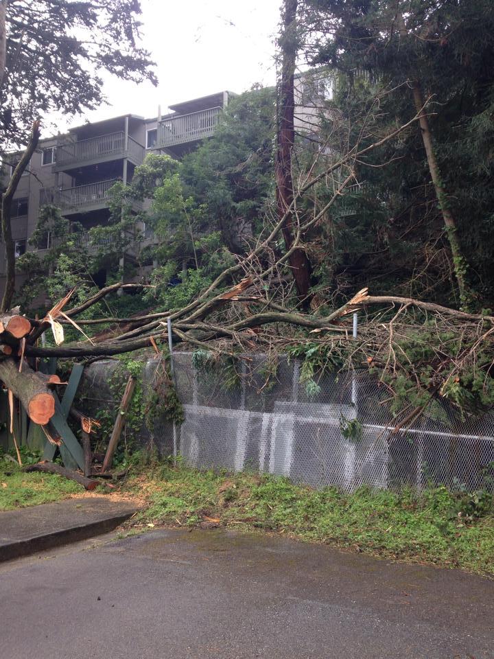 Crown Colony has started clean up from the downed trees Photo courtesy: Cindy Alger