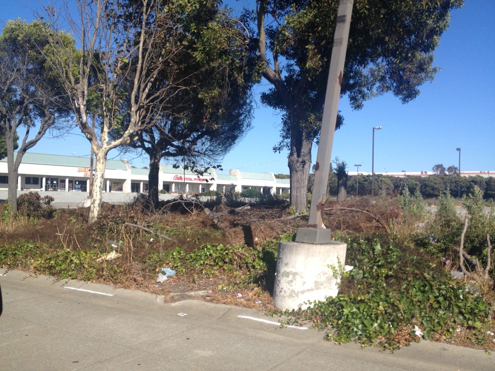 Dead trees, vegetation, and trash blight the abandoned shopping center