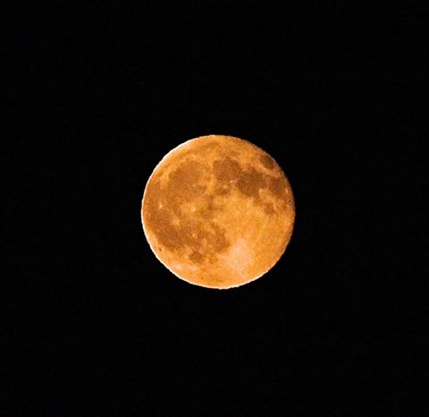 The Sturgeon Moon Photo credit: Nicholas Vejmola Freelance Photography 