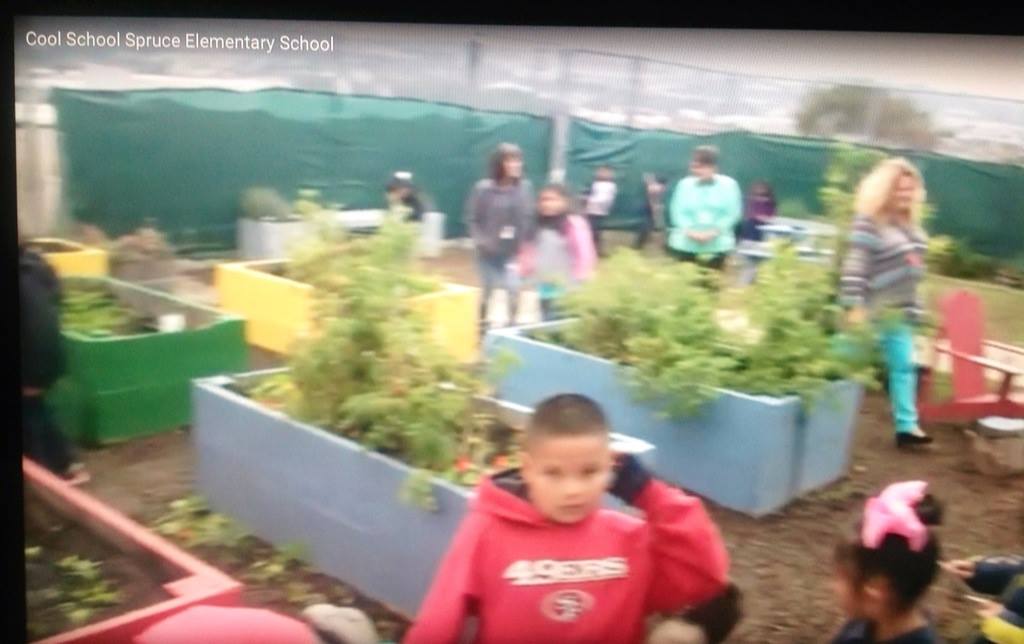 The students spend 2 hours a week in the garden Photo: KPIX