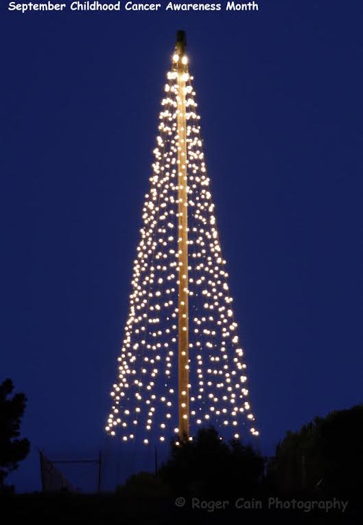 A tree made of lights