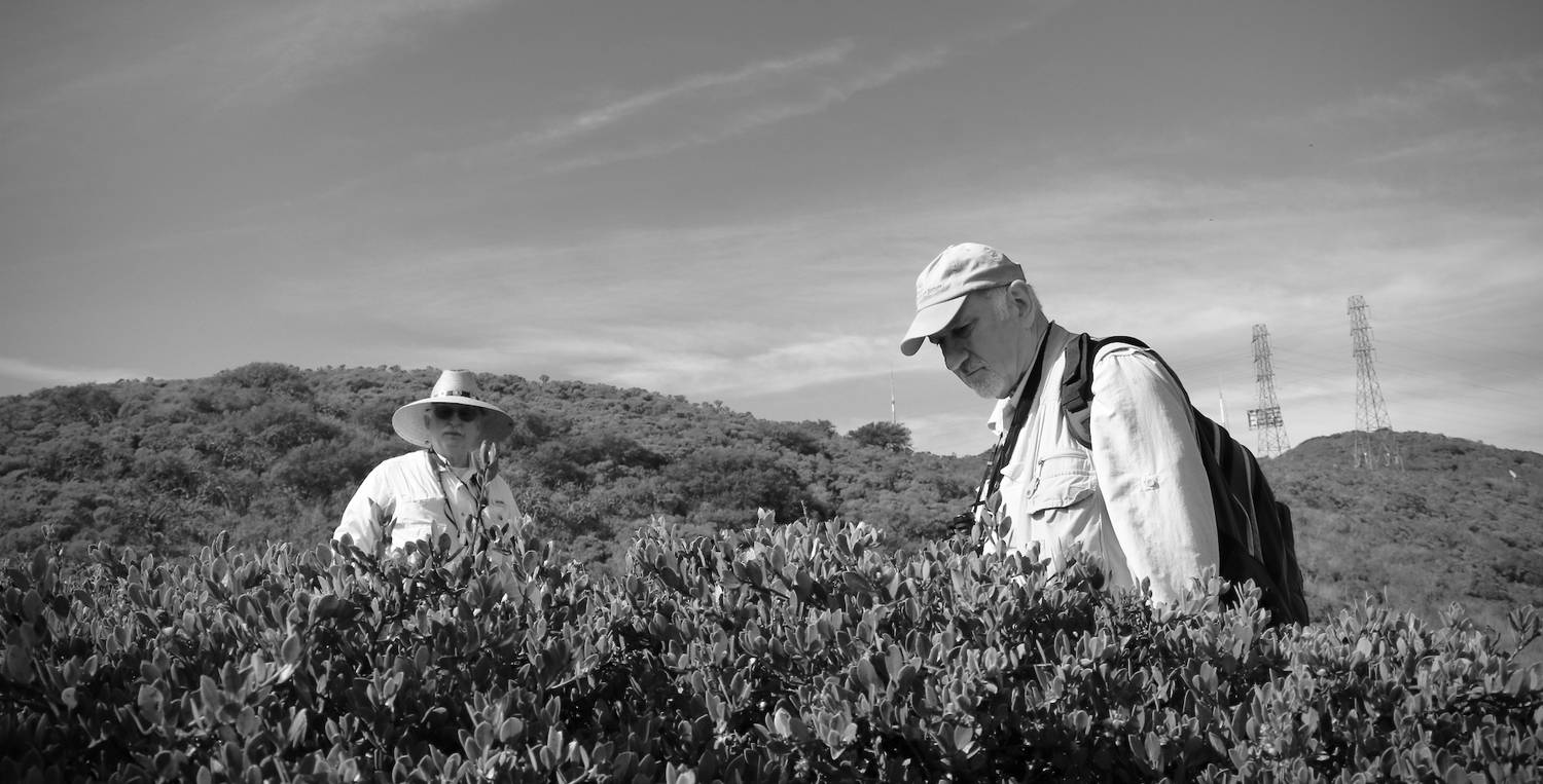 Two men looking at plants, black and white