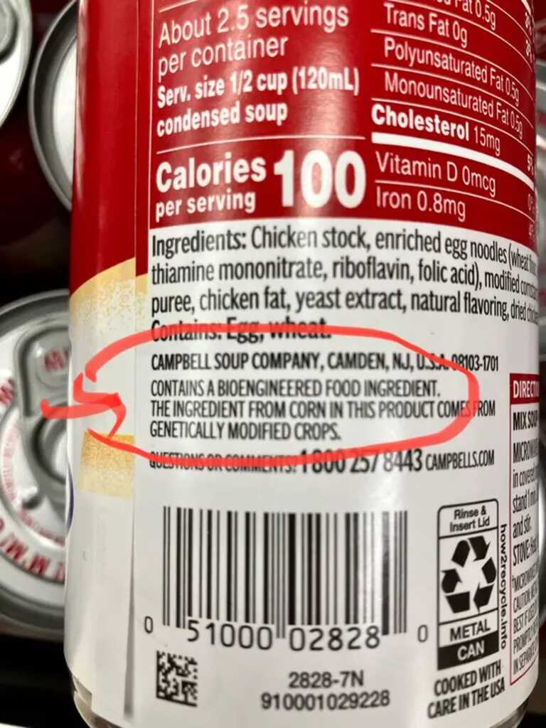 GMO ingredients 